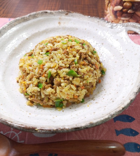 ミンチドライカレー (1)