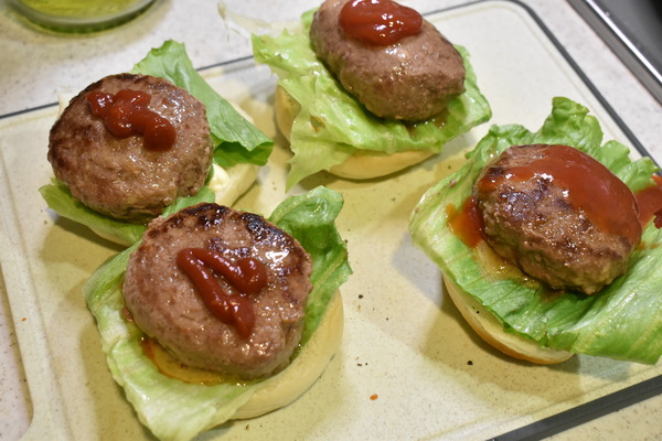 ハンバーガー (10)