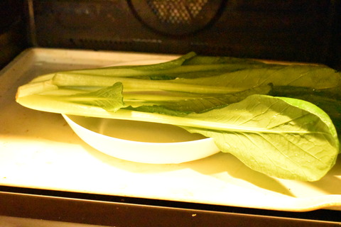 テリーヌ風オムレツ (4)