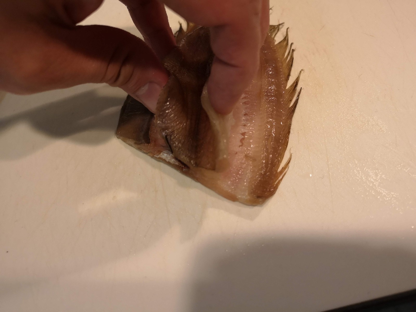 切り目を入れて骨までバリバリ カレイの干物の唐揚 気まま料理で レシピとか Powered By ライブドアブログ