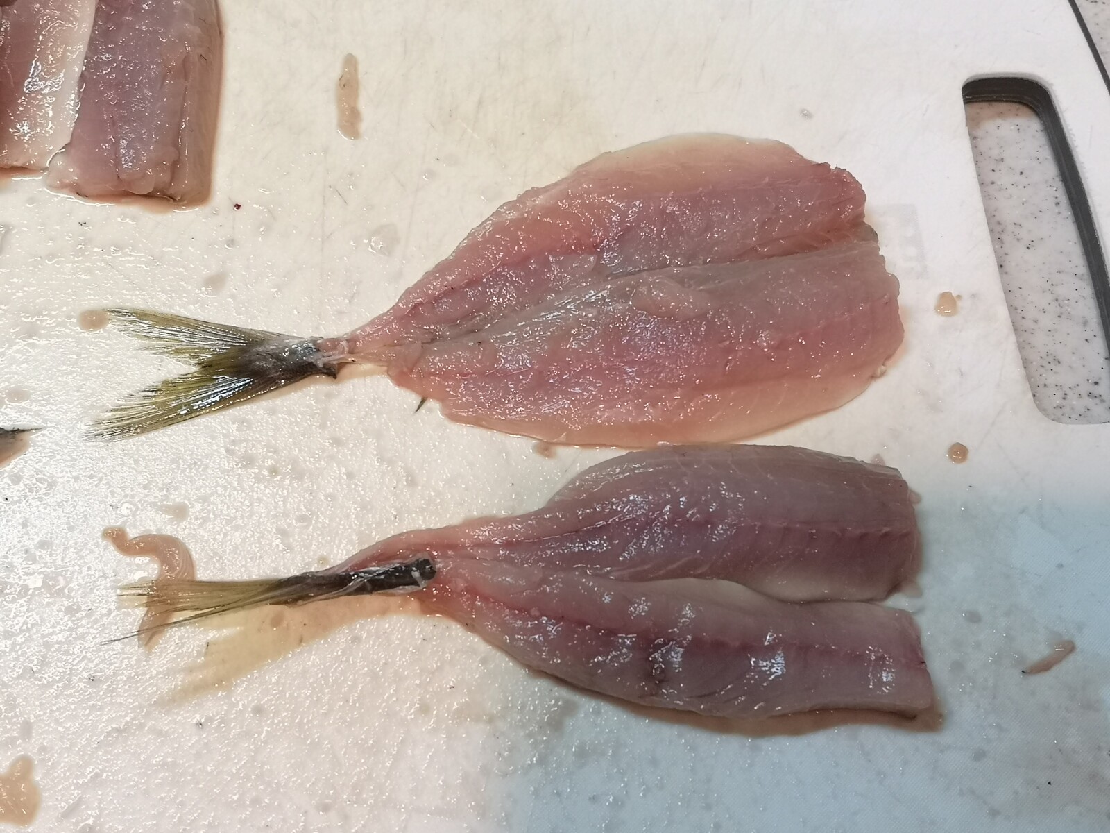 スナック感覚で アジフライ 辛子マヨネーズ添え 気まま料理で レシピとか Powered By ライブドアブログ