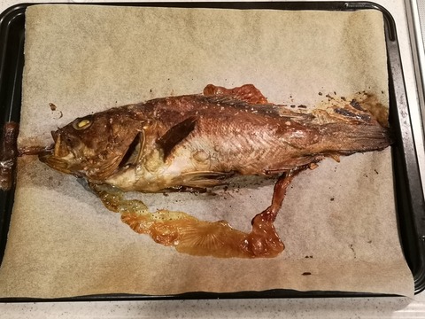 クロソイの醤油焼き (7)