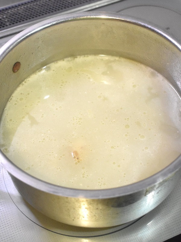 鶏の水炊き (12)