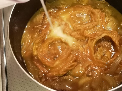 豚カレー丼 (8)