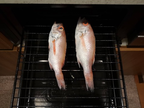 のどぐろのじっくり塩焼き (9)
