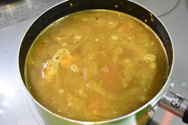 鶏手羽元カレー (5)