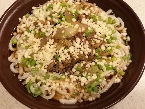 天かす肉うどん (8)