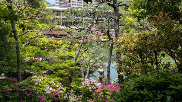 20260425_相楽園 (15)