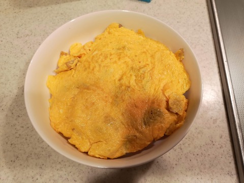 和風天津飯 (8)