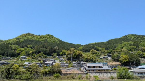 20250505_田植え (3)