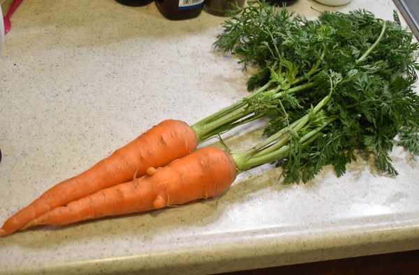 人参の葉の天ぷら (3)