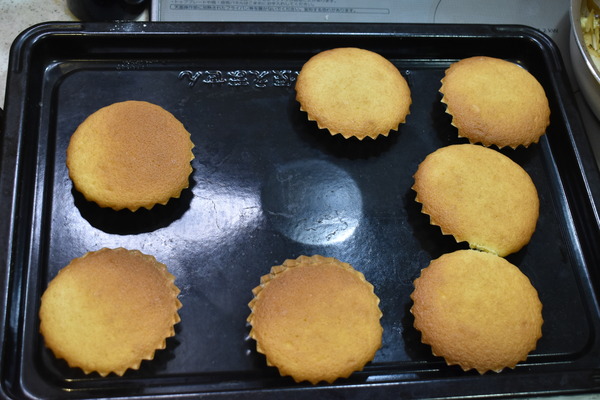 マドレーヌ (12)