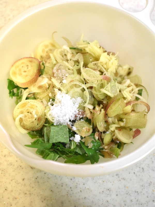 みょうがのゆず和え (5)