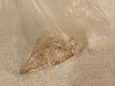 ペッパー味玉 (4)