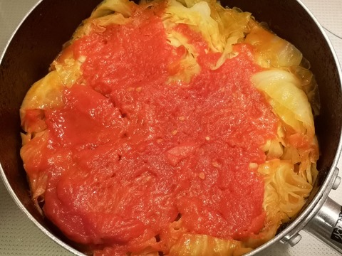 たっぷりキャベツと牛肉のトマト煮込み (7)