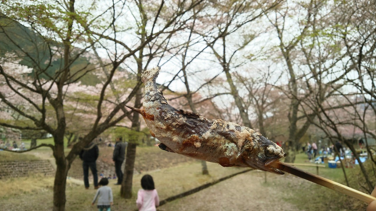 20160410_9