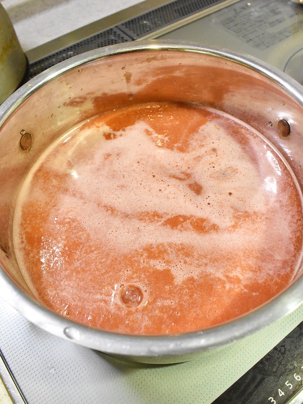 鶏手羽元のスパイシートマト煮込み (3)