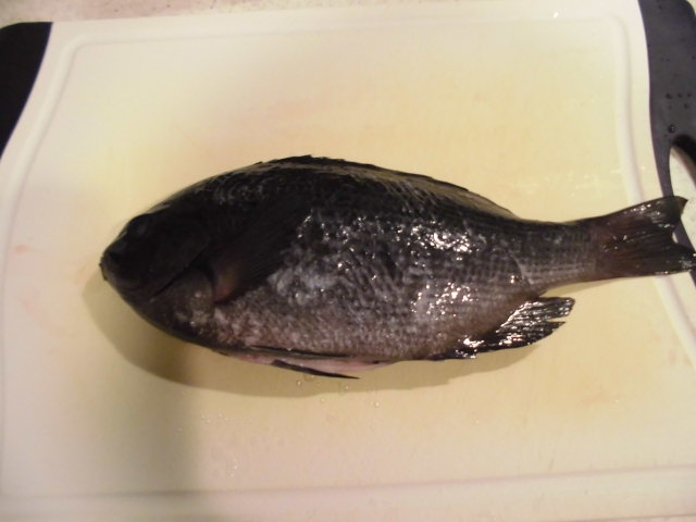 メジナの湯引き 気まま料理で レシピとか Powered By ライブドアブログ