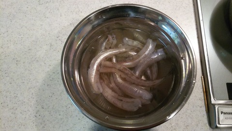 DSC_2419