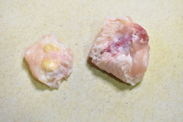 ぼんじり網焼き (5)