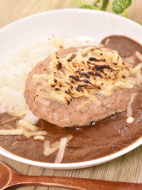 炙りチーズハンバーグカレー (1)