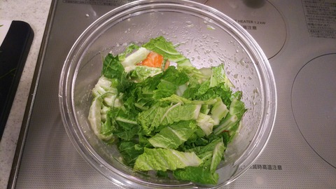 DyySC_2305 (5)