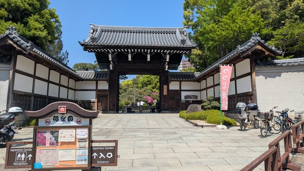 20250427_相楽園 (1)