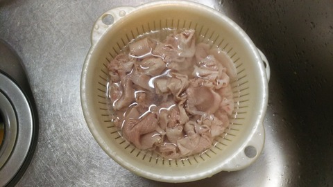 DssSC_9889 (4)