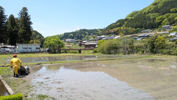 20250505_田植え (2)