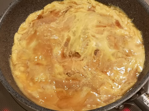 湯葉玉丼 (6)