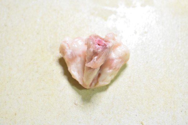 ぼんじり網焼き (8)