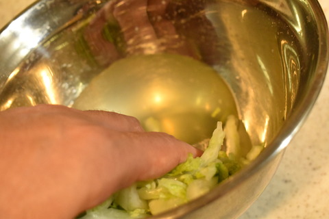 白菜の紅味噌しょうが (5)