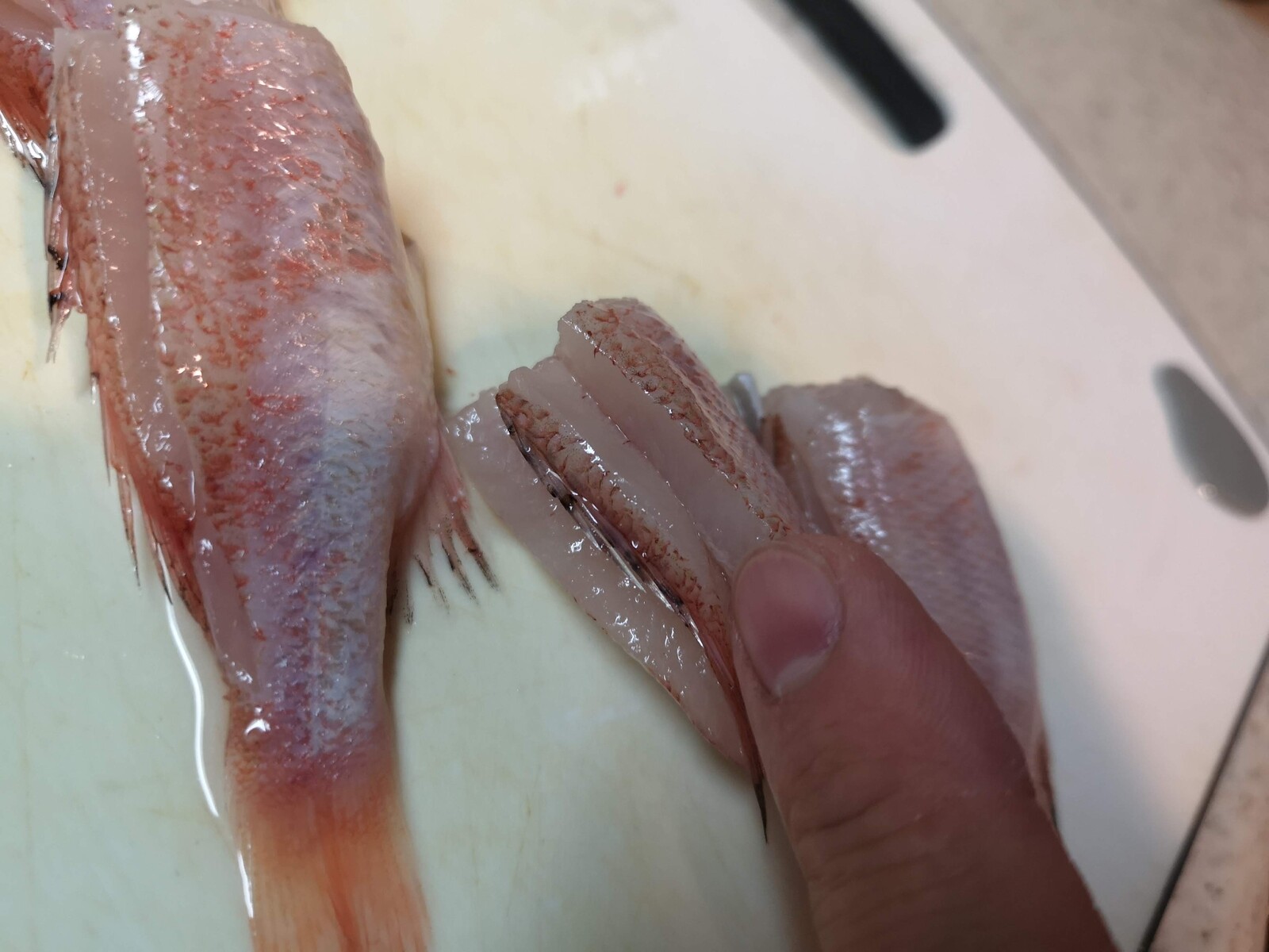 さすが骨まで美味しい のどぐろの唐揚 気まま料理で レシピとか Powered By ライブドアブログ さすが骨まで美味しい のどぐろの唐揚 気まま料理で レシピとか Powered By ライブドアブログ