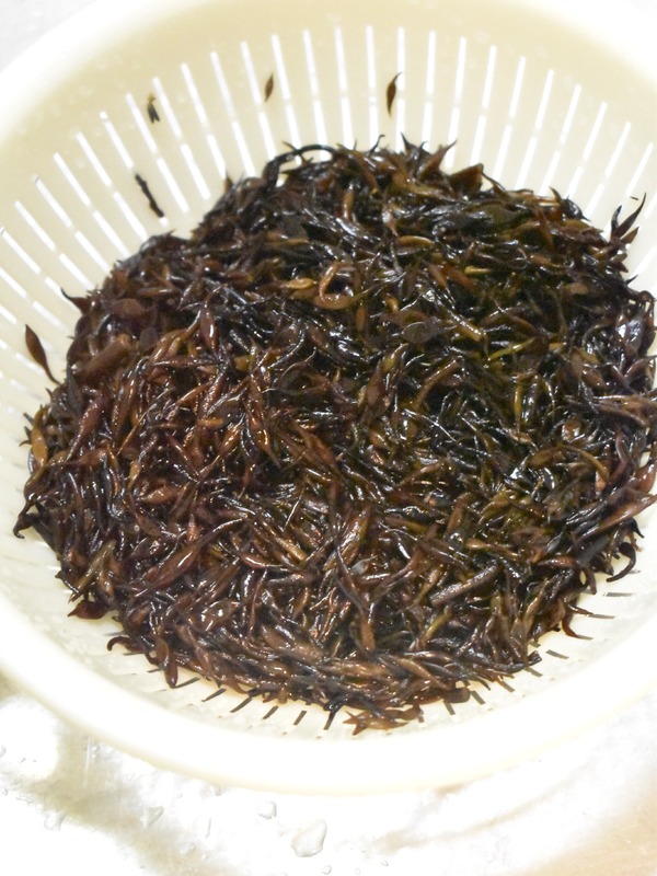 ひじき納豆 (4)