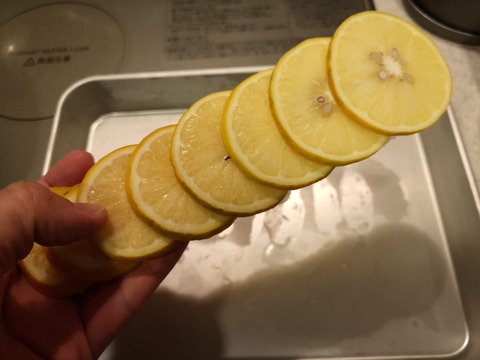 レモンタワー (5)