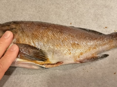 クロソイの醤油焼き (4)