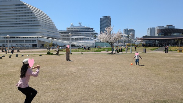 20260411_メリケンパーク花見 (4)