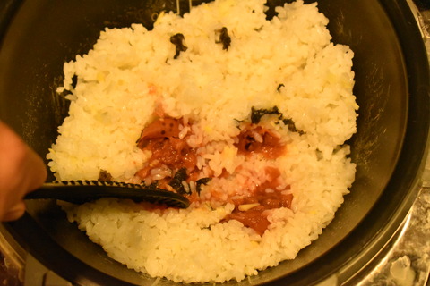 梅生姜ご飯 (4)