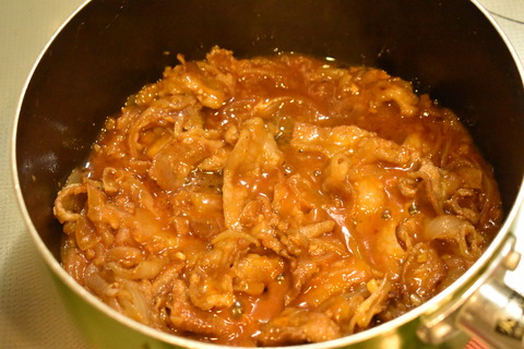 豚肉のスパイスシチュー (10)