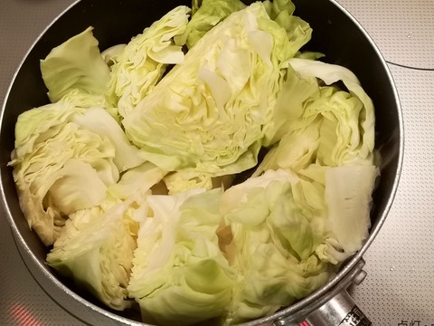 たっぷりキャベツと牛肉のトマト煮込み (4)