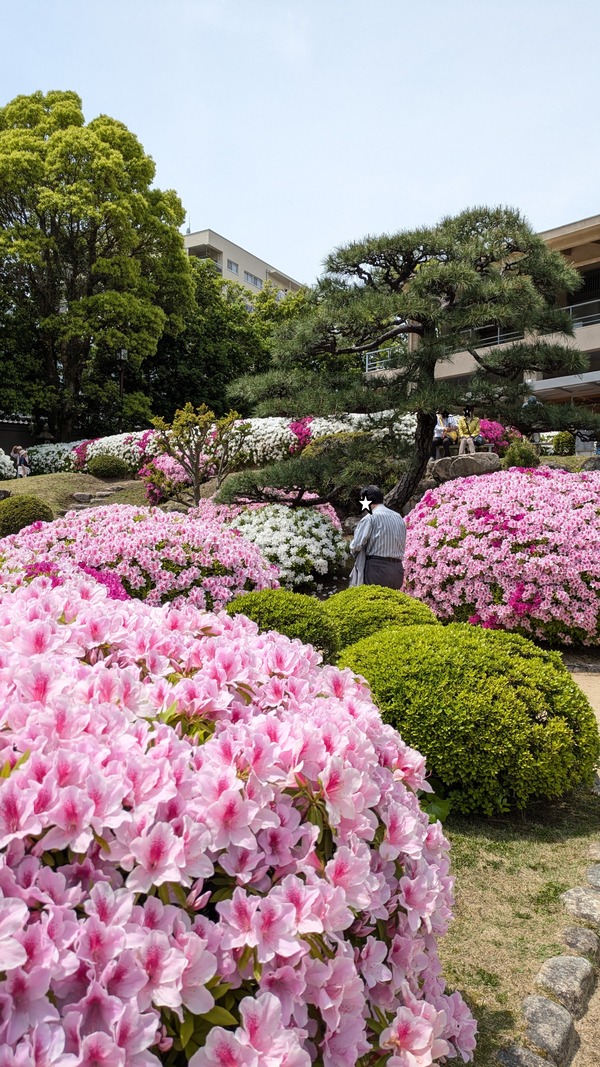 20260425_相楽園 (14)