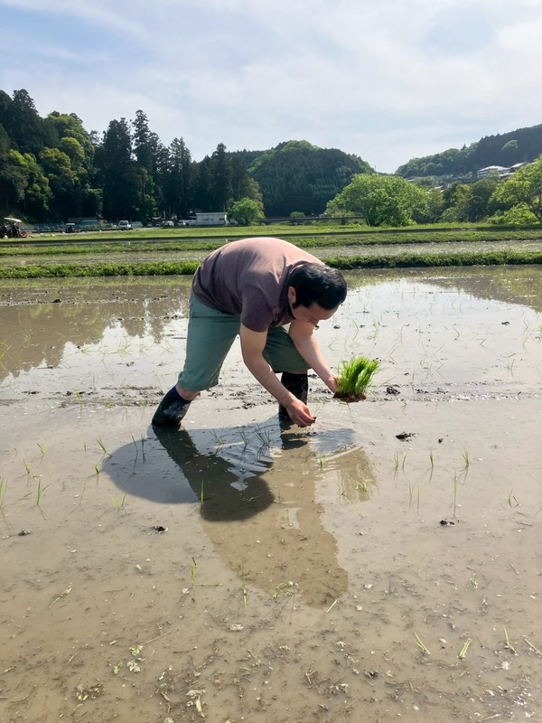 20250505_田植え (24)