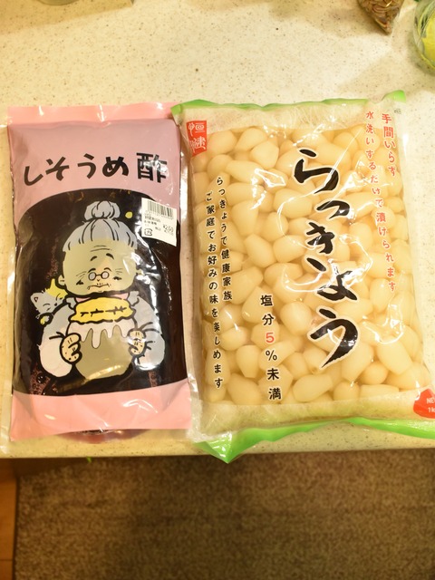 梅酢らっきょう (1)