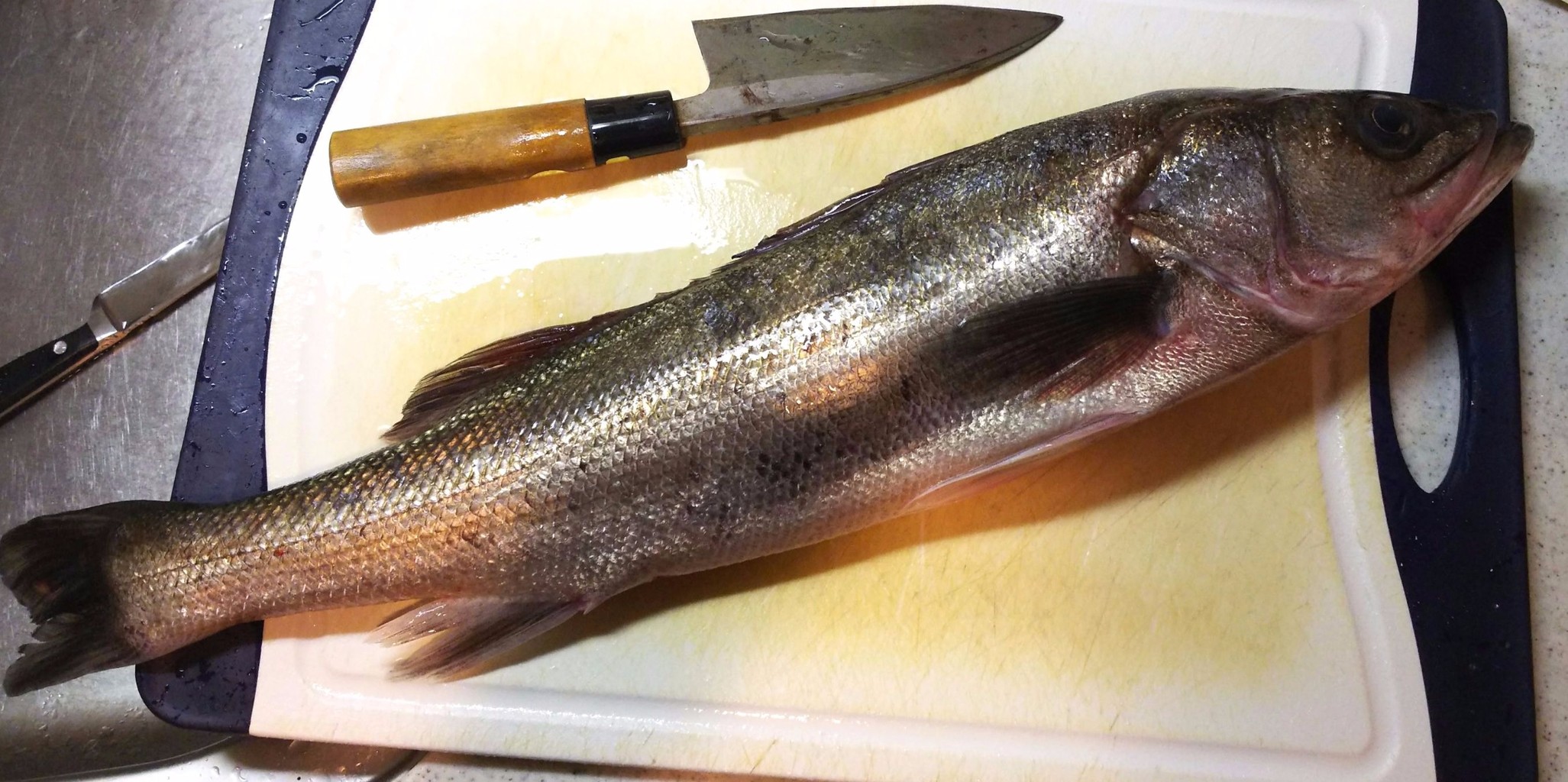 でっかいスズキを買いました 気まま料理で レシピとか Powered By ライブドアブログ