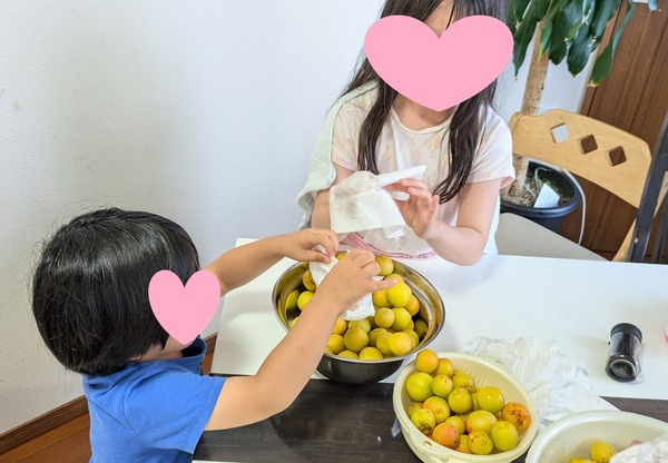 20250629_梅仕事 (3)