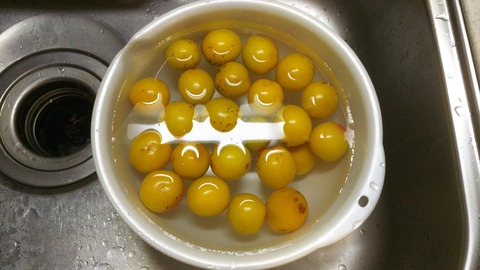 DSssC_8848 (3)