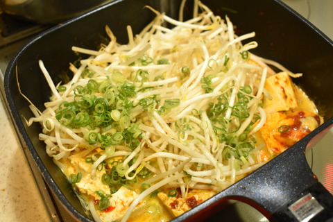 もやしと豆腐のピリ辛炒め (4)