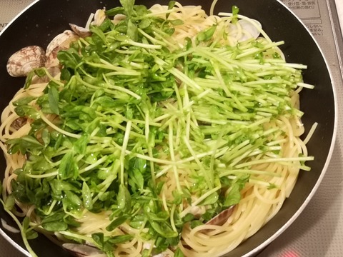 あさりと豆苗のパスタ (9)