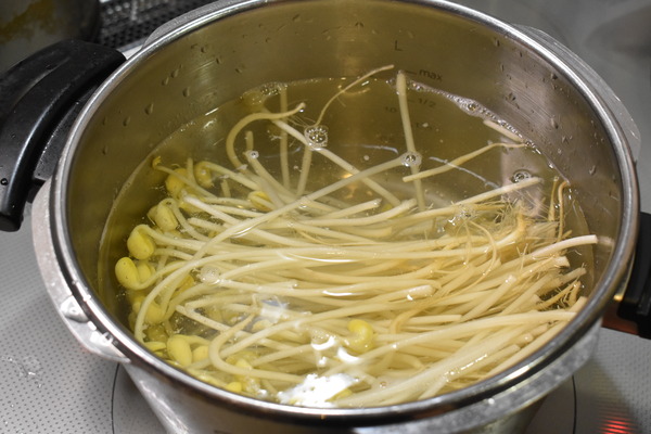 スパイシー豆もやし (3)