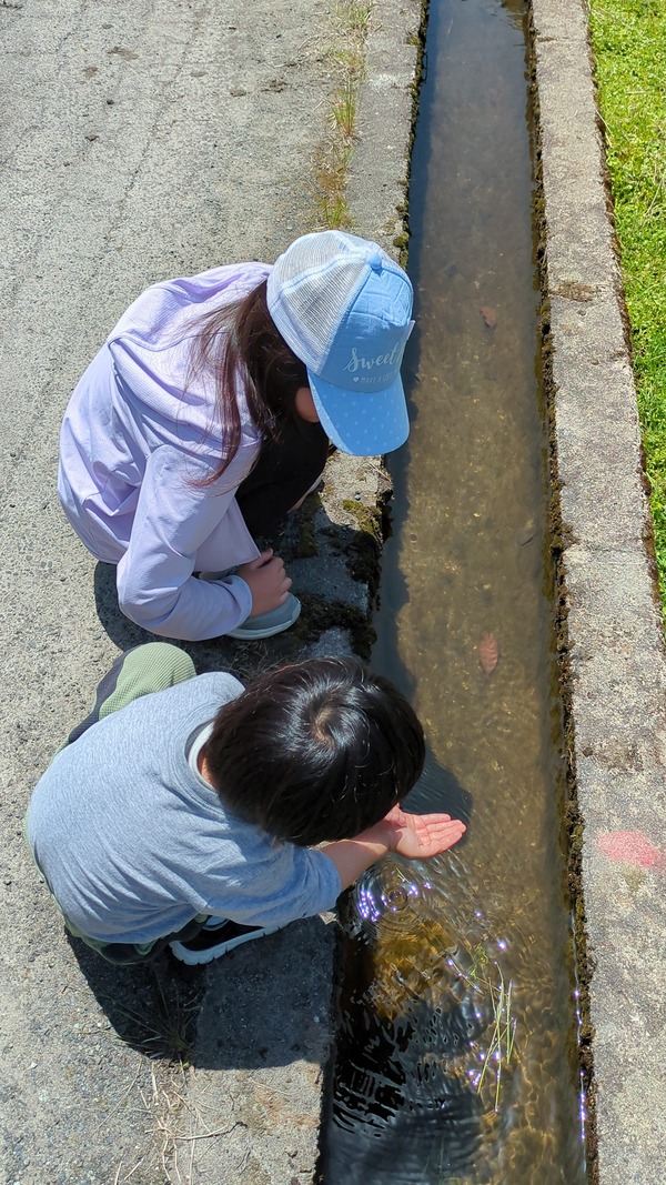 20250505_田植え (5)